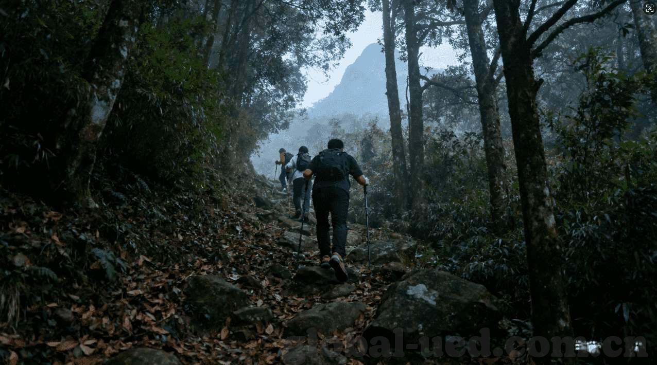 九游游戏中心下载最新安卓版下载-游戏爱好者的福音，九游游戏中心安卓版最新版下载指南