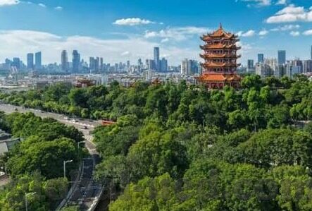 足球球探网完场比分-足球球探网完场比分，数据背后的足球智慧与决策密码